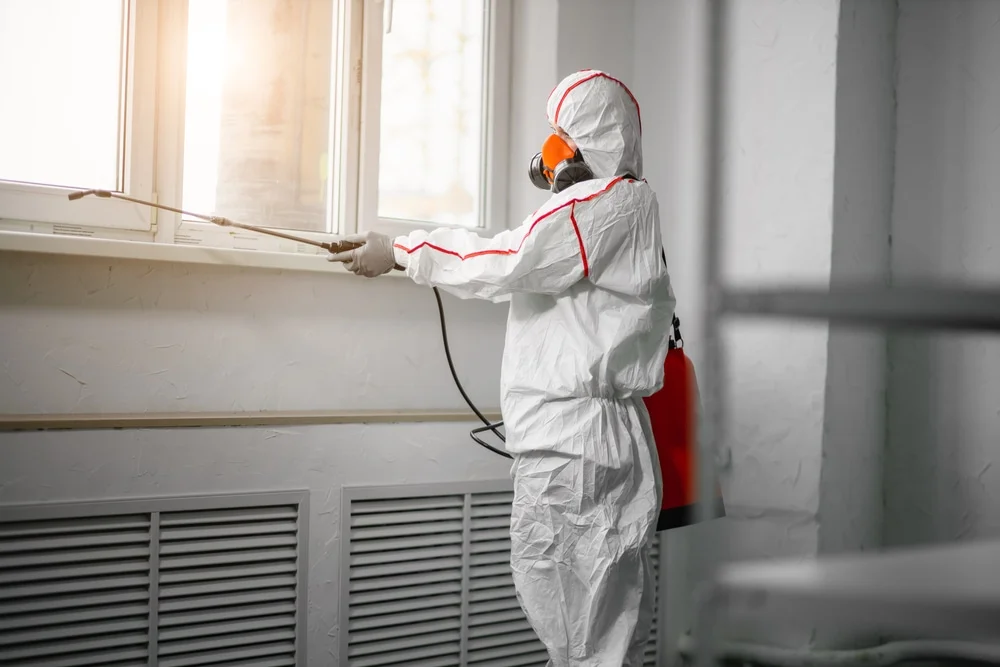 Professional mold remediation services in Mount Pleasant, NC